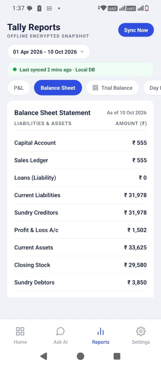 Balance sheet report in the Chopda mobile app